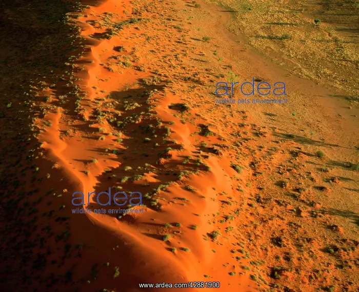 : Sand dunes and corridor near Old Andado Station : Sand dunes and corridor near Old Andado Station