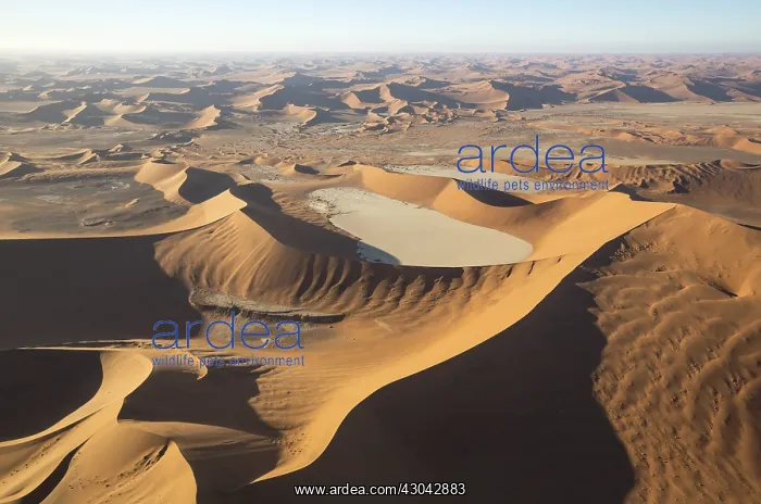  : Sand dunes and dry pans in the Namib Desert - in