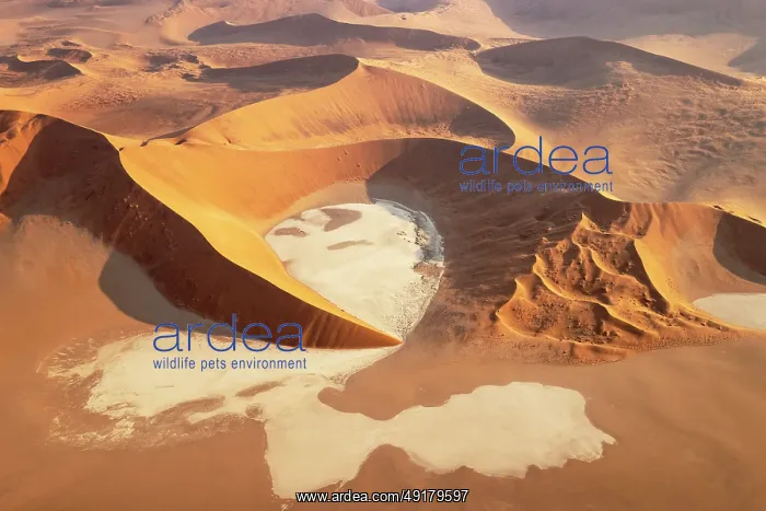: Sand dunes and dry pans in the Namib Desert : Sand dunes and dry pans in the Namib Desert