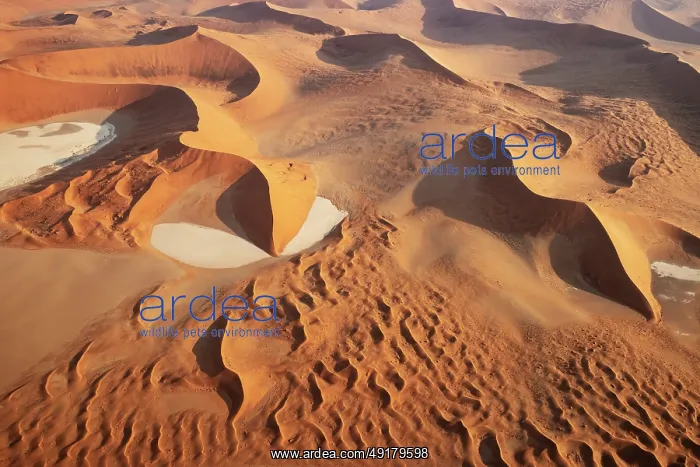  : Sand dunes and dry pans in the Namib Desert