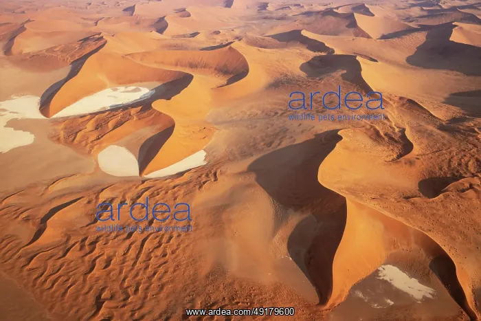 : Sand dunes and dry pans in the Namib Desert : Sand dunes and dry pans in the Namib Desert
