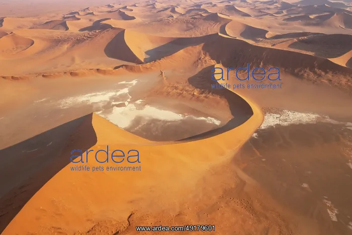 : Sand dunes and dry pans in the Namib Desert : Sand dunes and dry pans in the Namib Desert