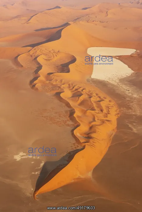  : Sand dunes and dry pans in the Namib Desert