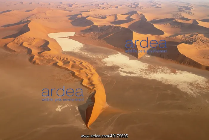 : Sand dunes and dry pans in the Namib Desert : Sand dunes and dry pans in the Namib Desert