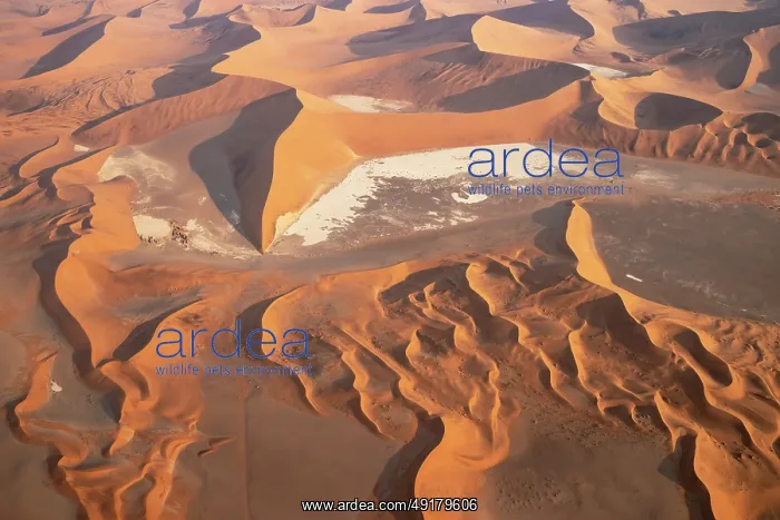 : Sand dunes and dry pans in the Namib Desert : Sand dunes and dry pans in the Namib Desert
