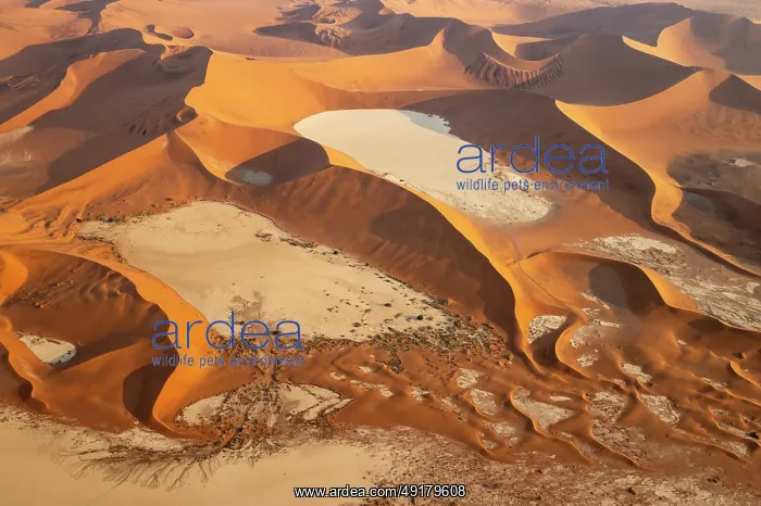 : Sand dunes and dry pans in the Namib Desert : Sand dunes and dry pans in the Namib Desert