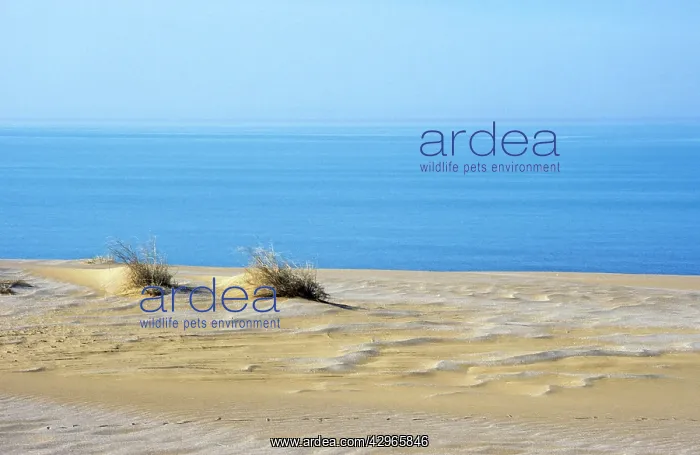  : Sand Dunes of Karakum desert - meet sea at Caspian