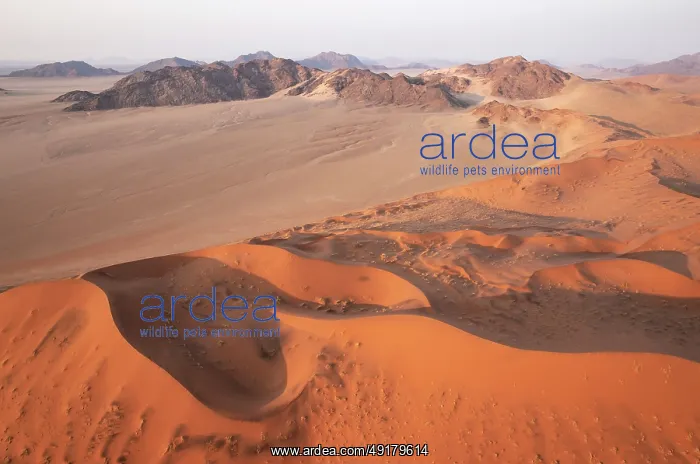 : Sand dunes and mountain ridges in the Namib Desert : Sand dunes and mountain ridges in the Namib Desert