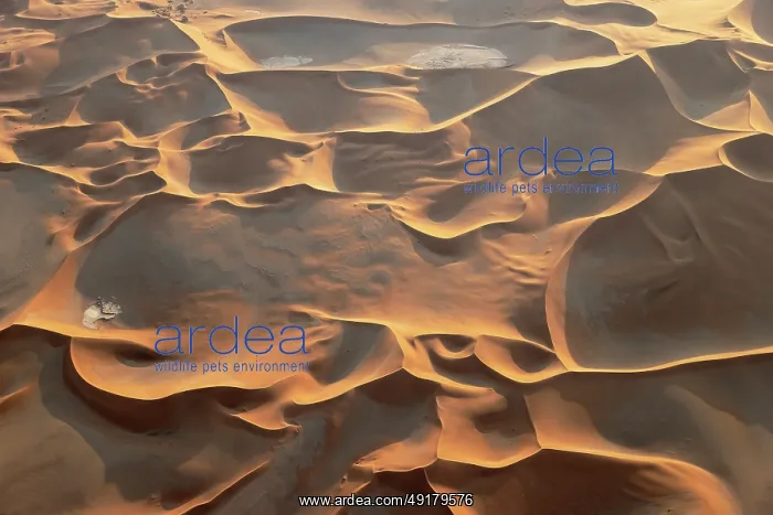 : Sand dunes in the Namib Desert : Sand dunes in the Namib Desert