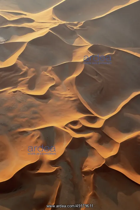 : Sand dunes in the Namib Desert : Sand dunes in the Namib Desert