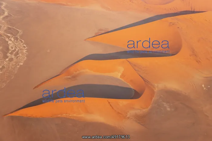 : Sand dunes in the Namib Desert : Sand dunes in the Namib Desert