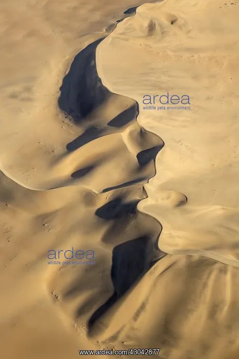 : Sand dunes in the Namib Desert - aerial view - Namib-Naukluf : Sand dunes in the Namib Desert - aerial view - Namib-Naukluf