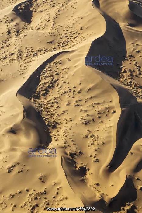 : Sand dunes in the Namib Desert - aerial view - Namib-Naukluf : Sand dunes in the Namib Desert - aerial view - Namib-Naukluf