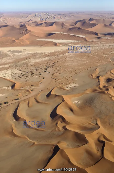 : Sand dunes in the Namib Desert- top centre the Witberg : Sand dunes in the Namib Desert- top centre the Witberg