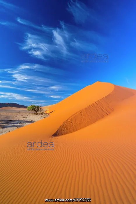  : Sand Dunes, Namib Naukluft National Park, Namibia