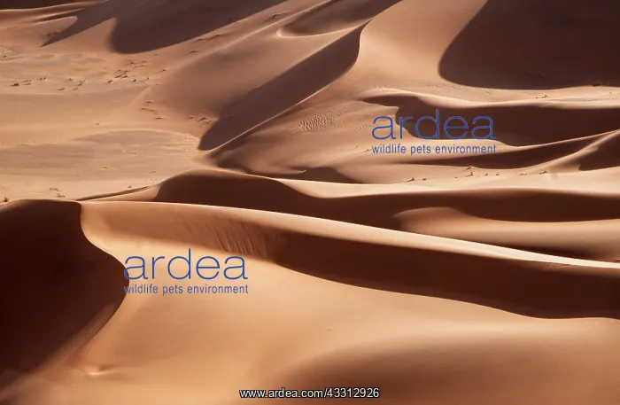 : Sand Dunes in Namib-Naukluft Park : Sand Dunes in Namib-Naukluft Park