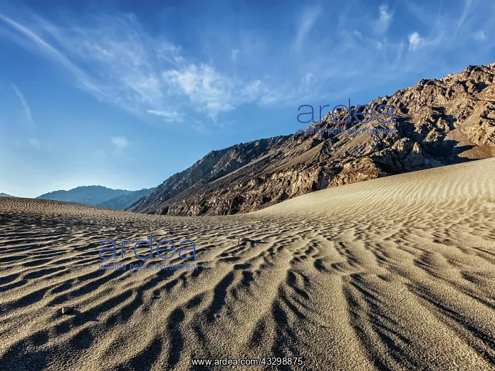 : Sand dunes in Nubra valley in Himalayas. Hunder : Sand dunes in Nubra valley in Himalayas. Hunder