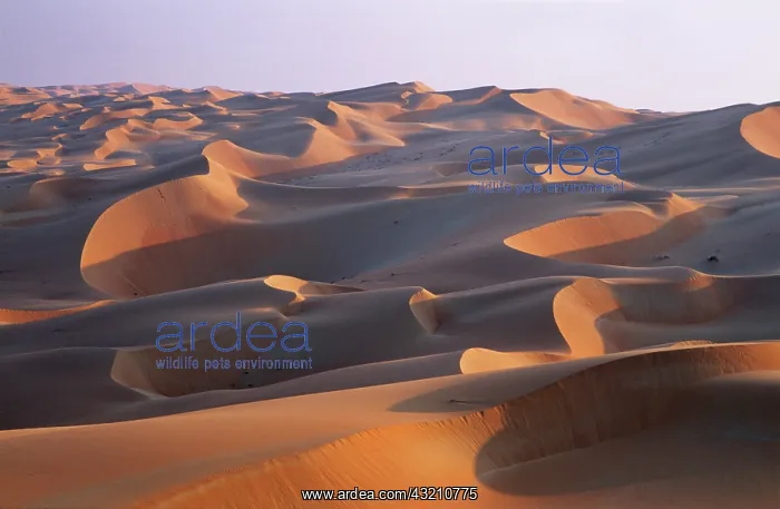 : Sand Dunes in the Rub al-Khali, United Arab : Sand Dunes in the Rub al-Khali, United Arab