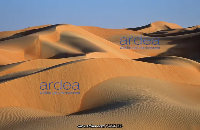 : Sand Dunes in the Rub al-Khali, United Arab : Sand Dunes in the Rub al-Khali, United Arab