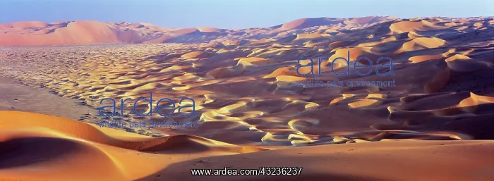 : Sand Dunes in the Rub al-Khali, United Arab : Sand Dunes in the Rub al-Khali, United Arab