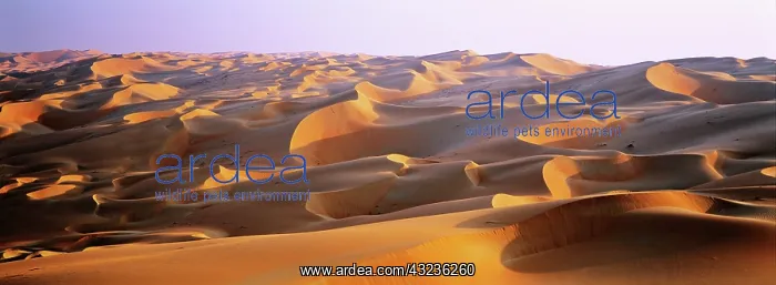 : Sand Dunes in the Rub al-Khali, United Arab : Sand Dunes in the Rub al-Khali, United Arab