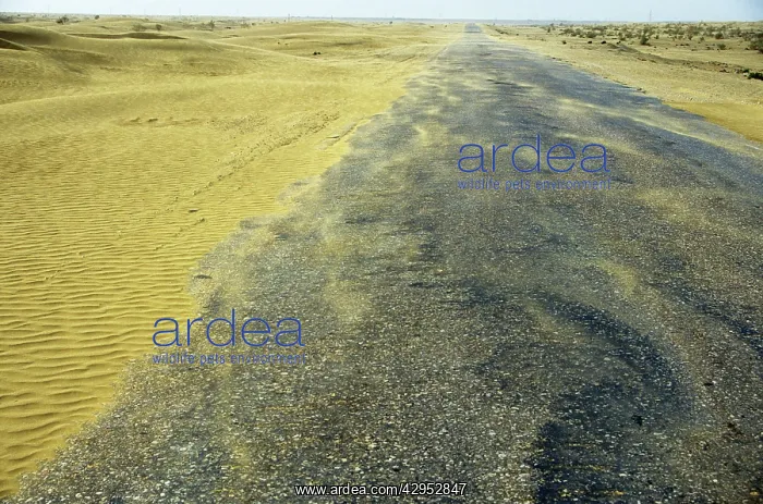 : Sand dunes in a wind - Karakum desert encroach on a road : Sand dunes in a wind - Karakum desert encroach on a road