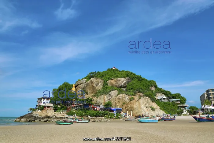 : Sand at low tide on Nong Kae beach with Khao Takiab : Sand at low tide on Nong Kae beach with Khao Takiab