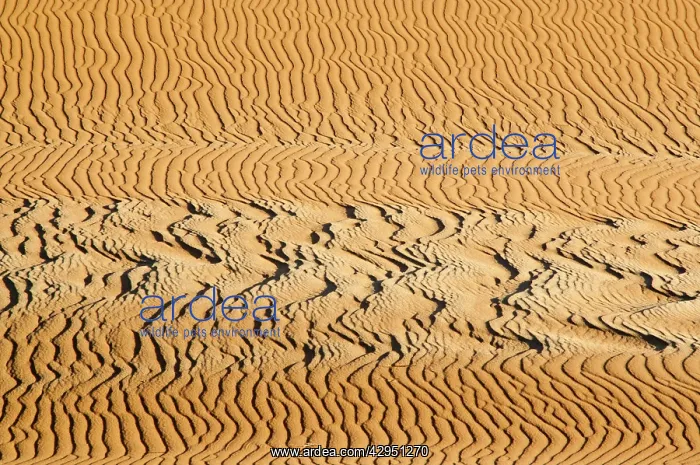  : Sand patterns
