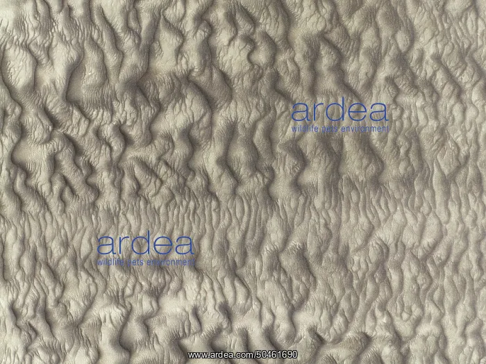  : Sand patterns in the Namib Desert