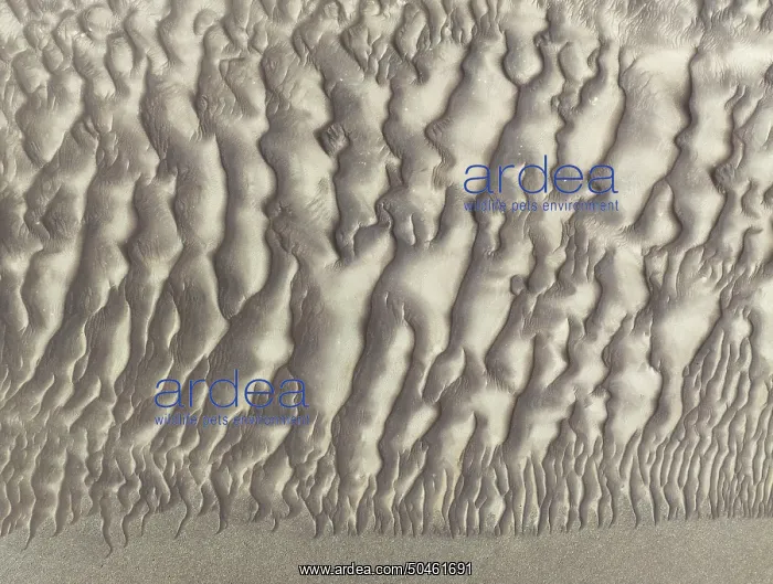  : Sand patterns in the Namib Desert