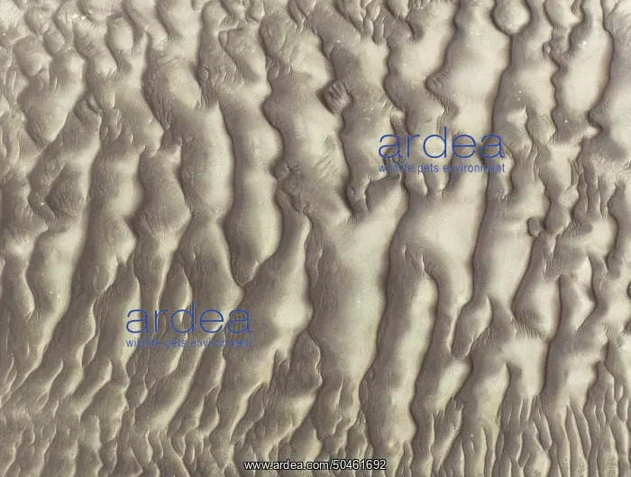  : Sand patterns in the Namib Desert