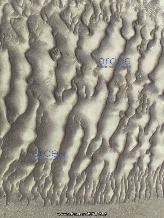  : Sand patterns in the Namib Desert