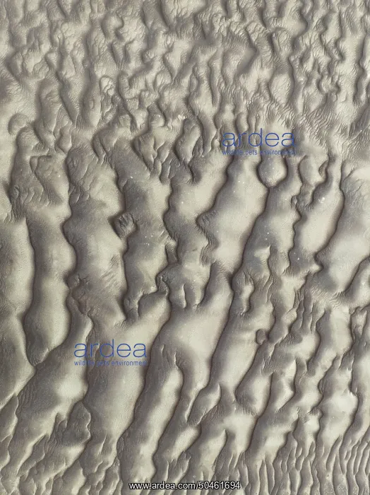  : Sand patterns in the Namib Desert