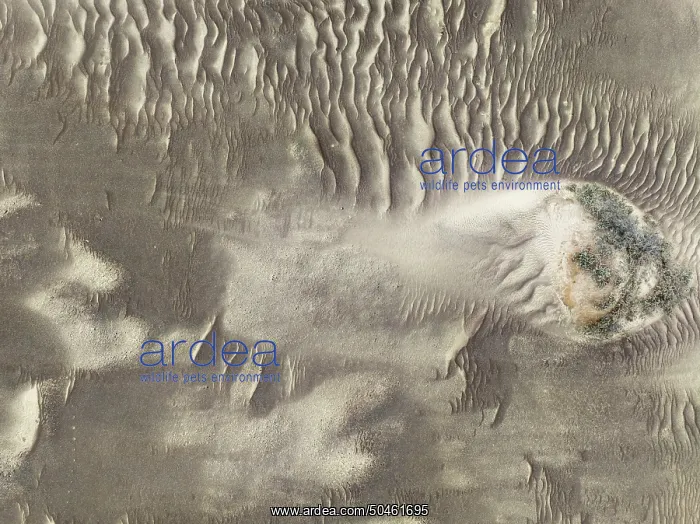  : Sand patterns in the Namib Desert