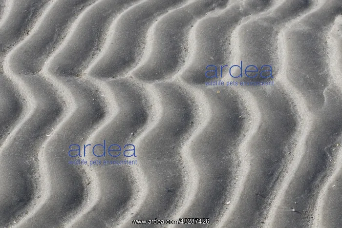 : Sand patterns, structure on mud flats - National : Sand patterns, structure on mud flats - National