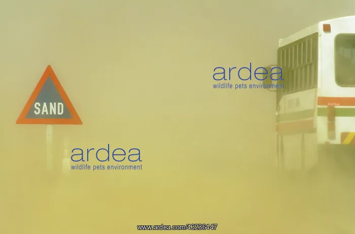: Sand Road Sign and sandstorm at the B 2 tarred road : Sand Road Sign and sandstorm at the B 2 tarred road