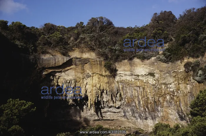 : Sand Stalactites in Australia : Sand Stalactites in Australia