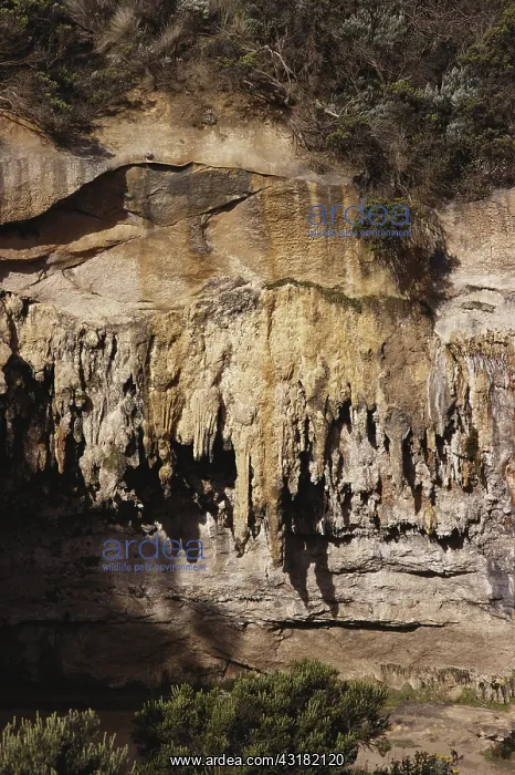 : Sand Stalactites in Australia : Sand Stalactites in Australia