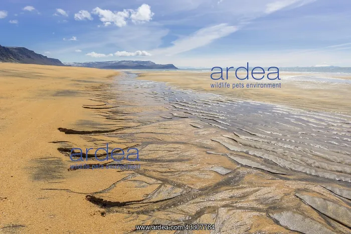 : Sand structure with ripple at low tide, Rau&, x29ce1;ndur : Sand structure with ripple at low tide, Rau&, x29ce1;ndur