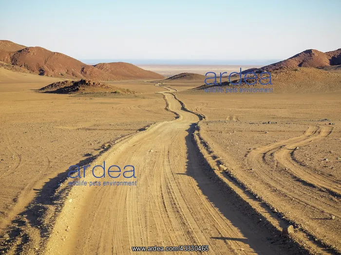 : Sand track through desert landscape, Kaokoveld : Sand track through desert landscape, Kaokoveld