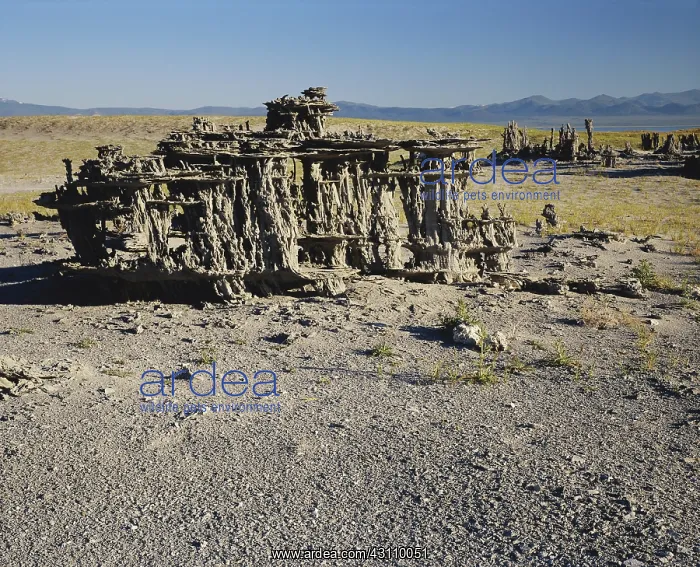 : Sand Tufa at Mono Lake : Sand Tufa at Mono Lake