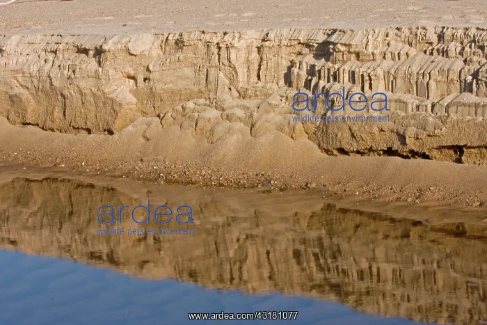 : Sandbar Layers : Sandbar Layers
