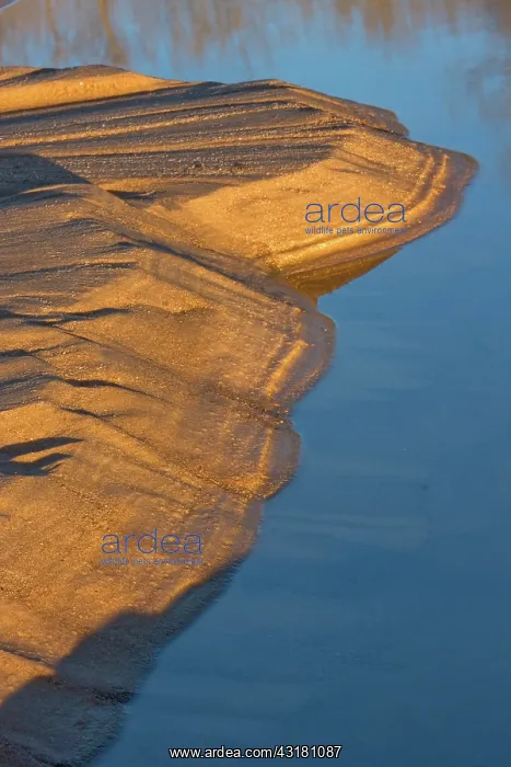 : Sandbar Layers : Sandbar Layers