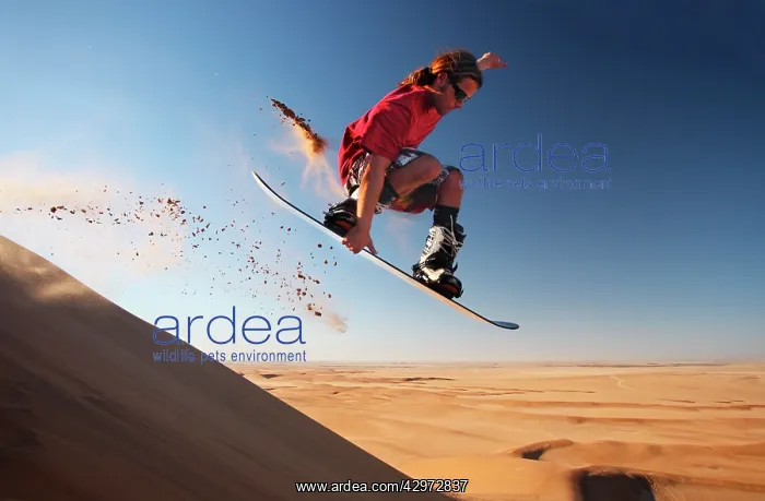 : Sandboarding in the Namib : Sandboarding in the Namib