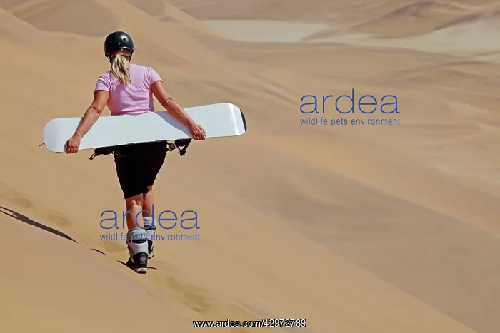 : Sandboarding in the Namib Desert : Sandboarding in the Namib Desert