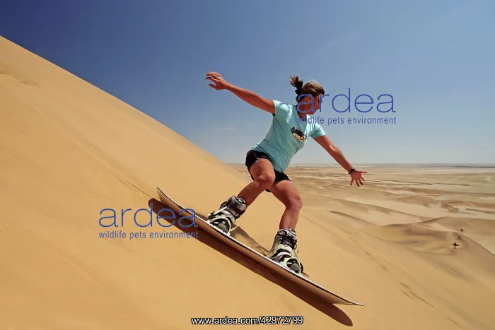 : Sandboarding in the Namib Desert : Sandboarding in the Namib Desert