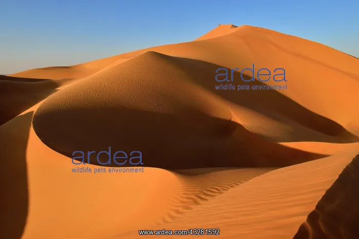  : Sanddunes in the Rub al Khali desert, Dhofar, Oman