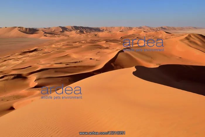  : Sanddunes in the Rub al Khali desert, Ramlat al
