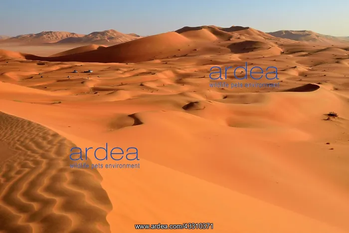 : Sanddunes in the Rub al Khali desert, Ramlat al : Sanddunes in the Rub al Khali desert, Ramlat al