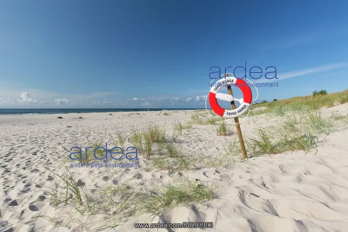 : Sandhammaren : Sandhammaren